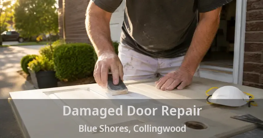 Damaged Door Repair Blue Shores, Collingwood - ON