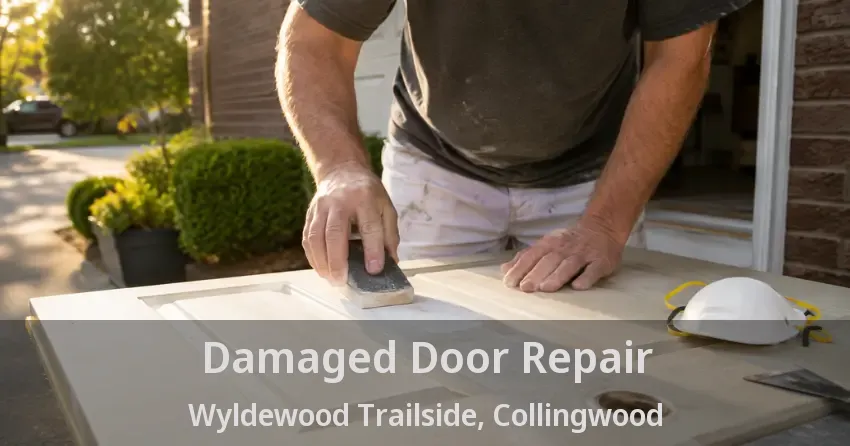 Damaged Door Repair Wyldewood Trailside, Collingwood - ON