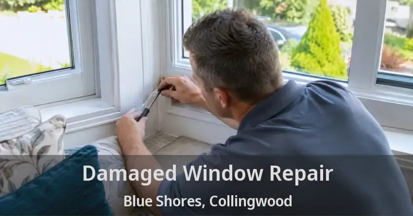 Damaged Window Repair Blue Shores, Collingwood - ON