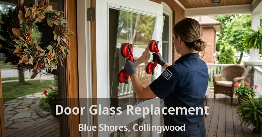 Door Glass Replacement Blue Shores, Collingwood - ON