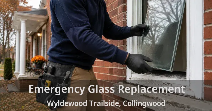 Emergency Glass Replacement Wyldewood Trailside, Collingwood - ON