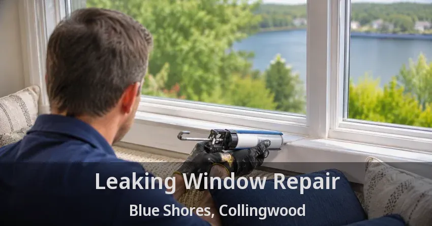 Leaking Window Repair Blue Shores, Collingwood - ON