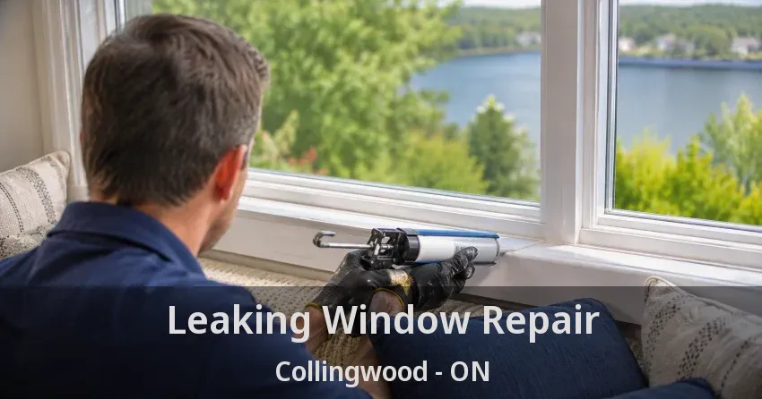 Leaking Window Repair Collingwood - ON