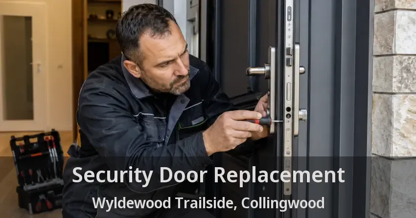 Security Door Replacement Wyldewood Trailside, Collingwood - ON
