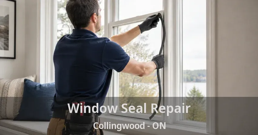 Window Seal Repair Collingwood - ON